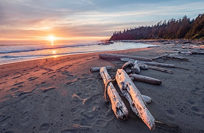 Sonnenuntergang am Strand mit Holzstücken im Vordergrund